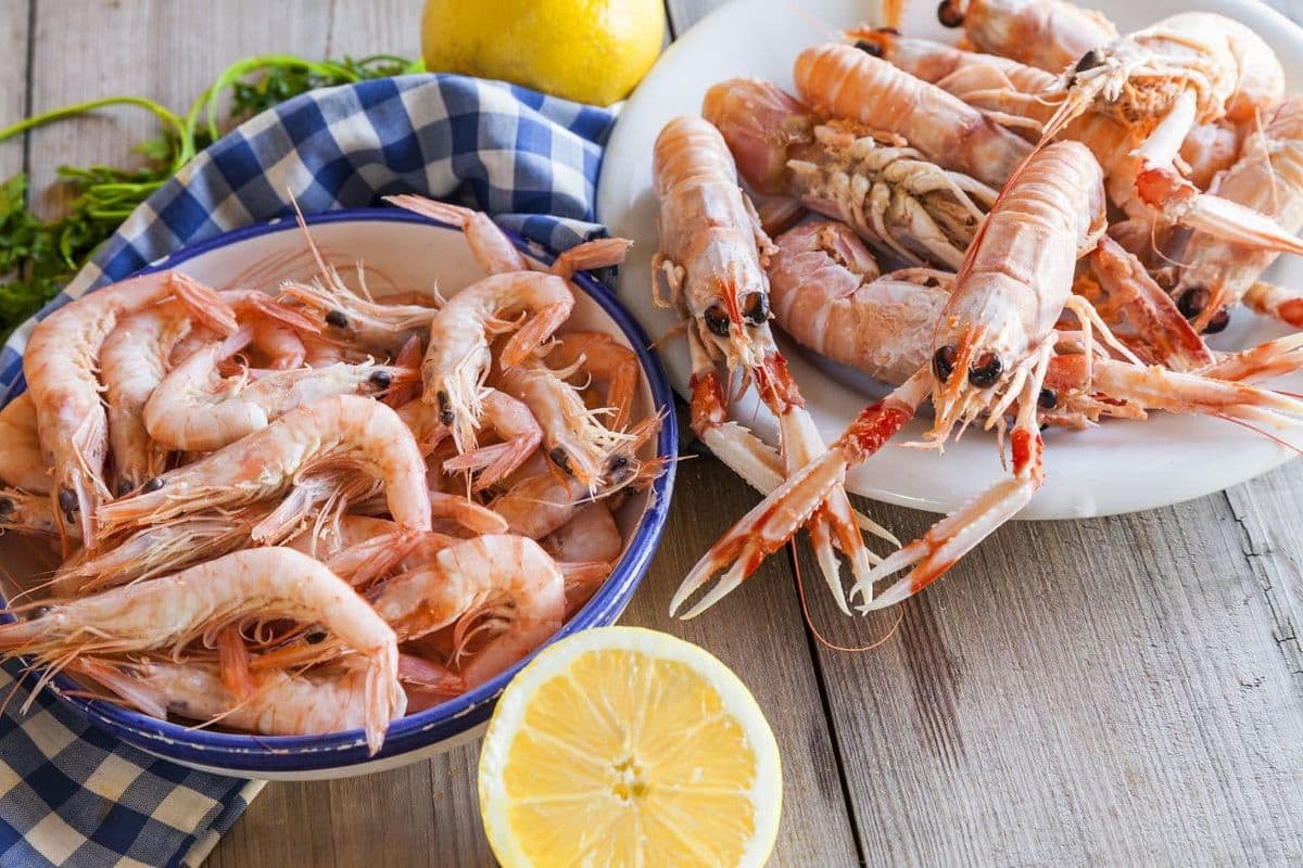 Garnele oder Scampi | Foto: isaphoto2016