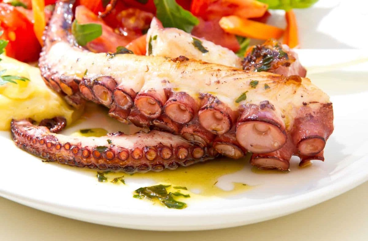 Gegrillter Oktopus / Foto: Jürgen Fälchle