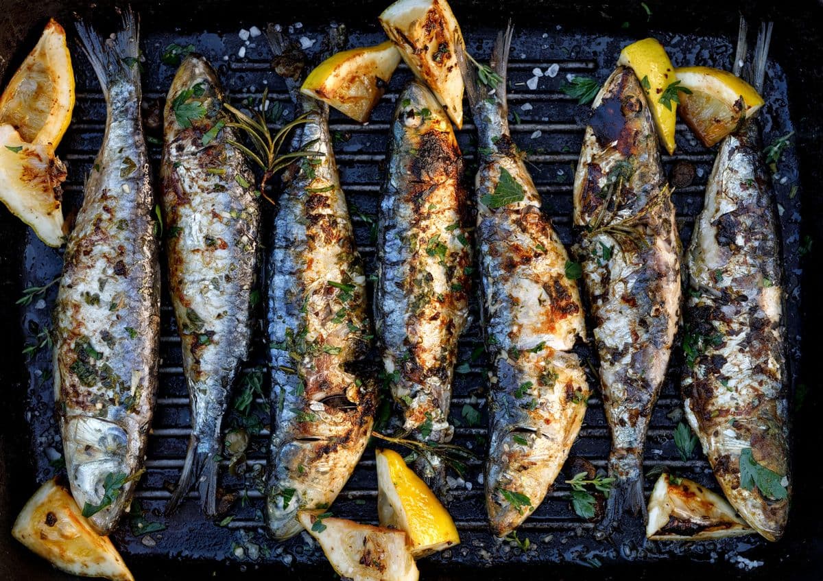 Sardinen