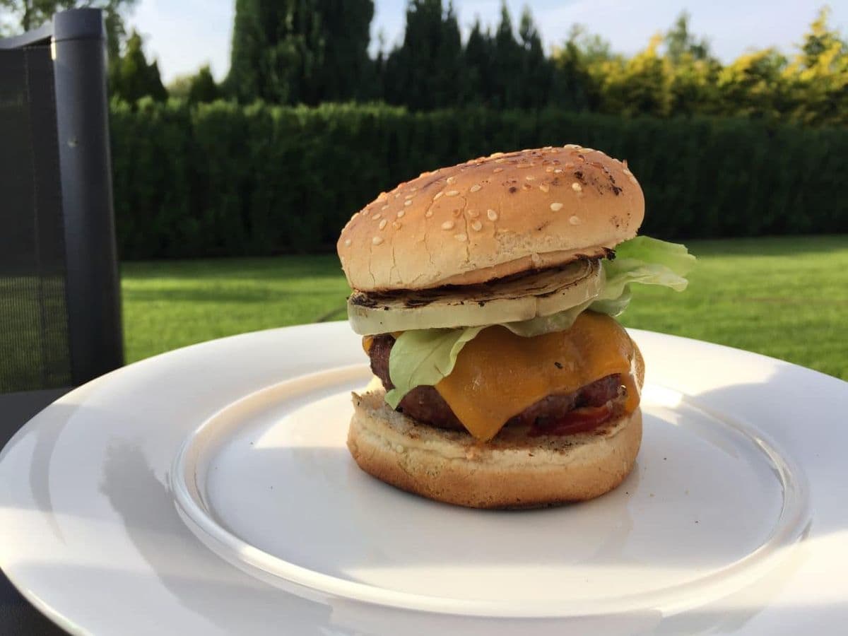 Cheese and Onion Burger