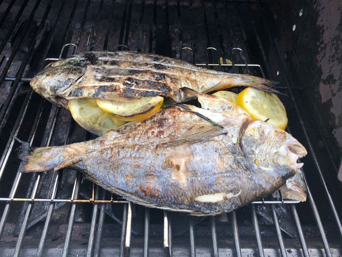 Dorade vom Grill