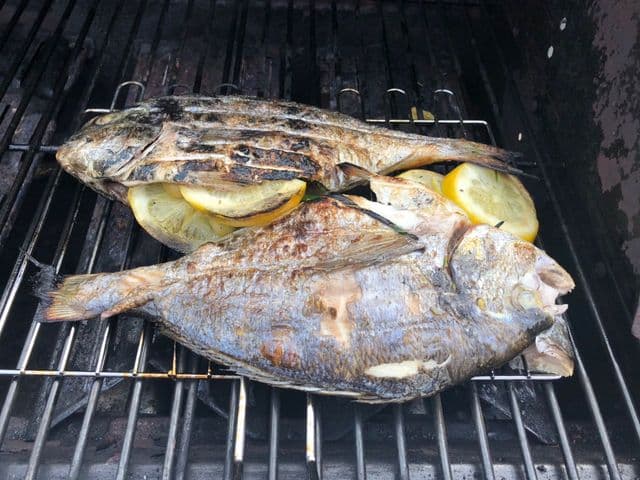 Dorade vom Grill