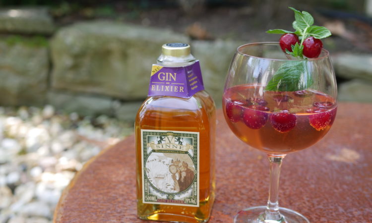 V-Sinne Schwarzwald Gin Elixier
